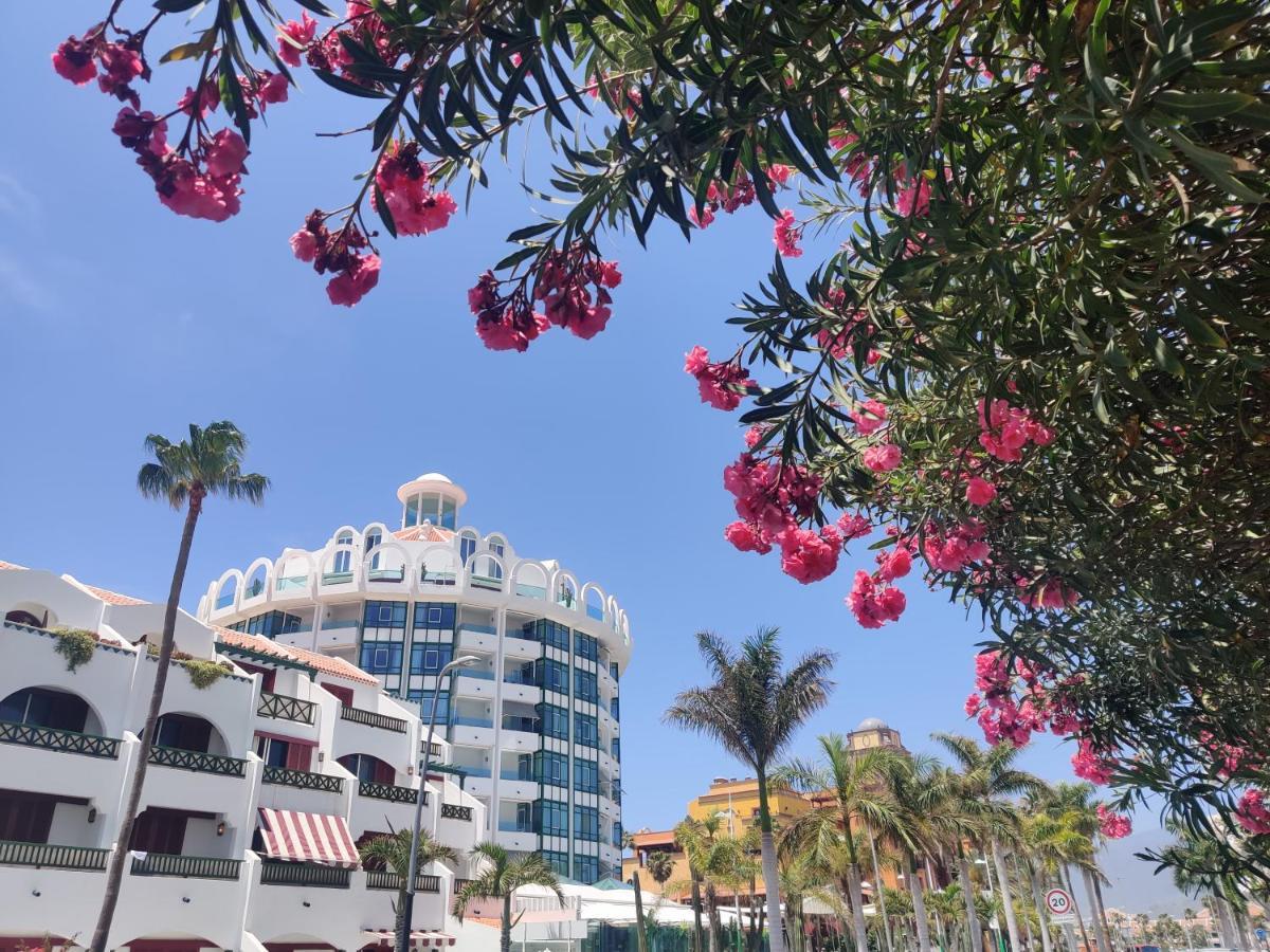 Seafront New Modern Apartment ปลายาเดลาสอเมริกาส ภายนอก รูปภาพ